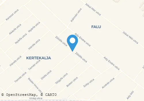Térkép