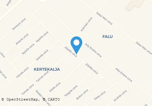 Térkép