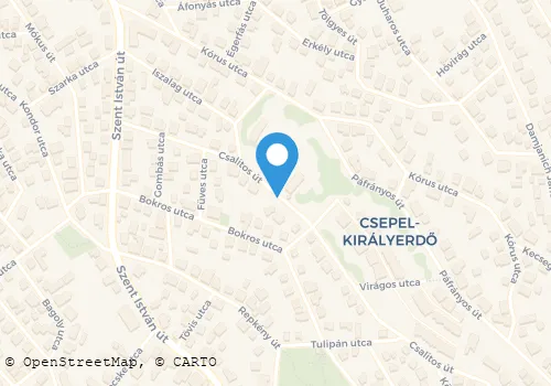 Térkép