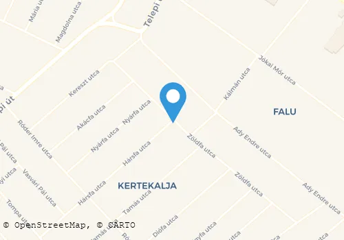 Térkép