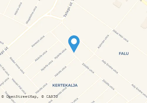 Térkép