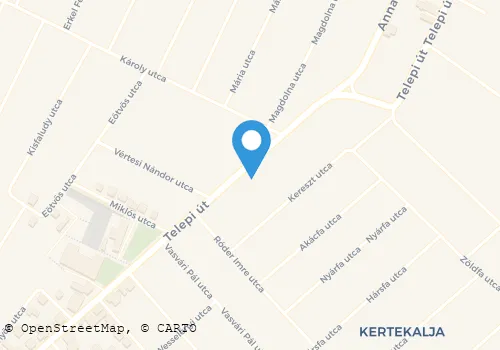 Térkép