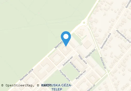 Térkép