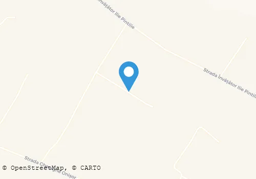 Hartă