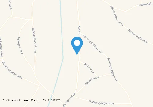 Térkép