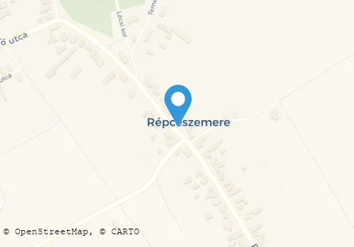 Térkép