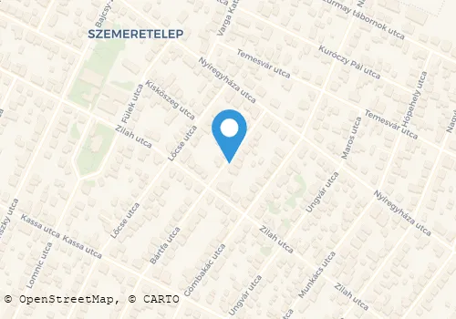 Térkép