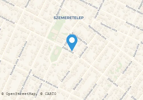 Térkép