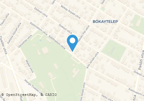 Térkép