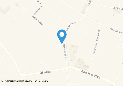 Térkép