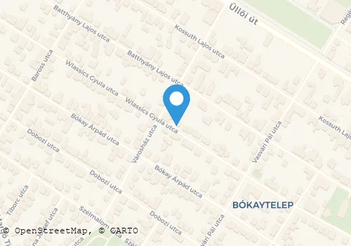 Térkép