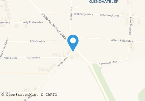 Térkép