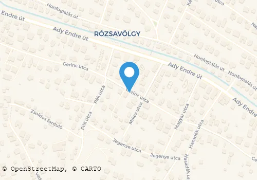 Térkép