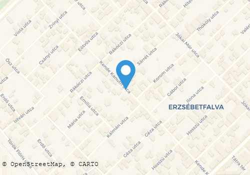 Térkép