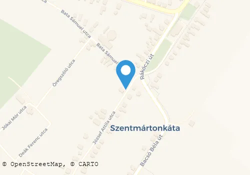 Térkép