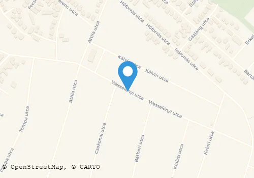 Térkép