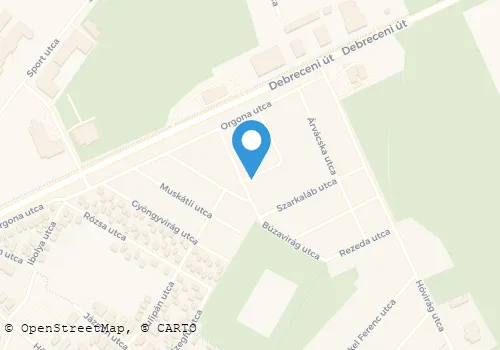 Térkép