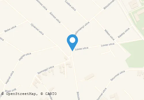 Térkép