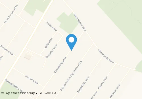 Térkép