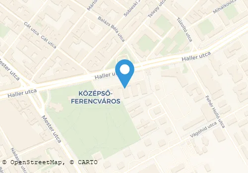Térkép
