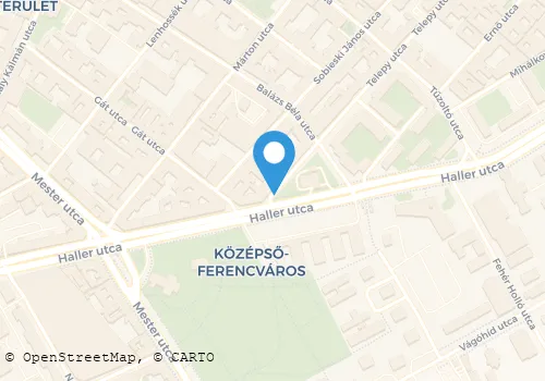 Térkép