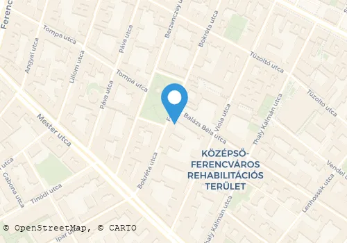 Térkép