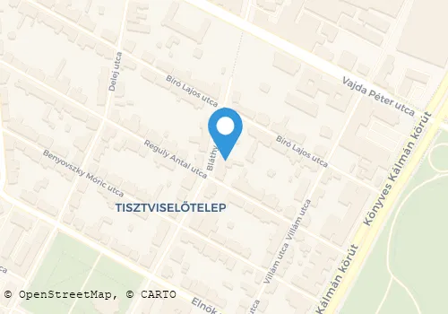 Térkép