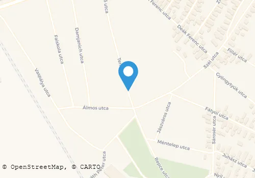 Térkép