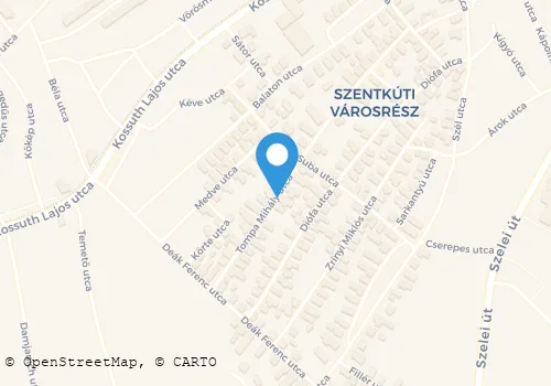 Térkép