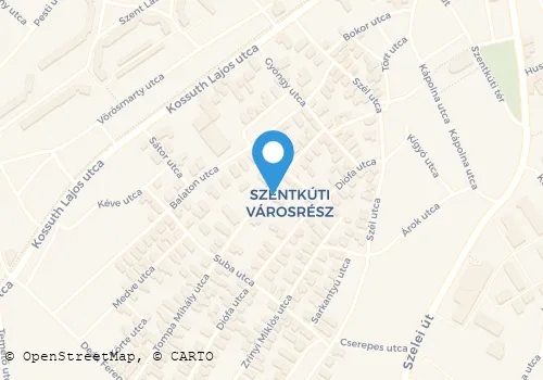 Térkép