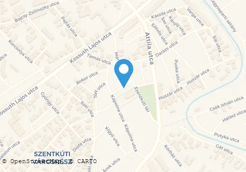 Térkép