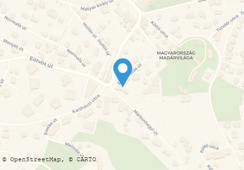 Térkép