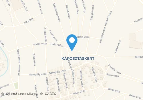 Térkép