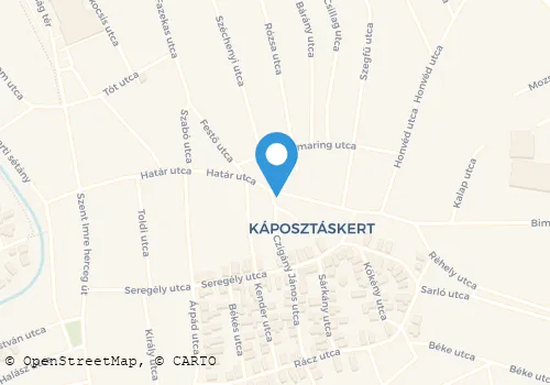 Térkép