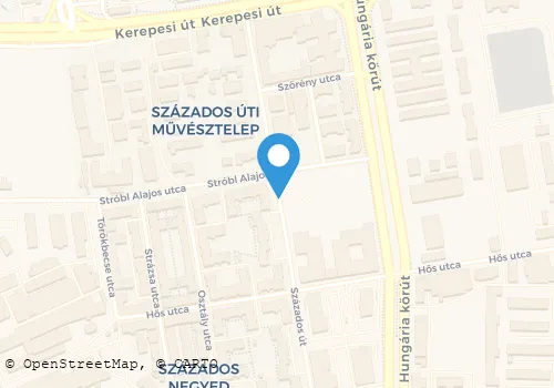 Térkép