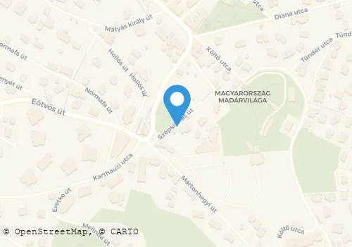 Térkép
