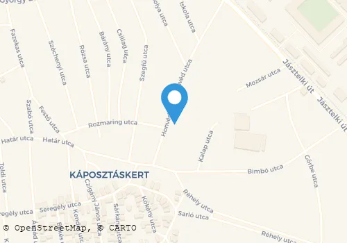 Térkép