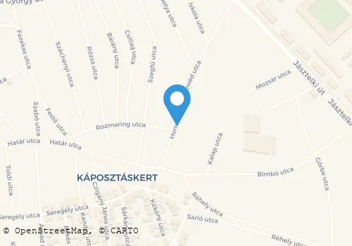 Térkép