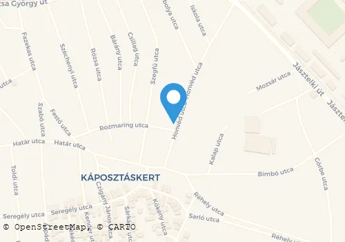 Térkép