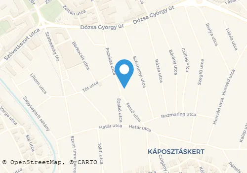 Térkép
