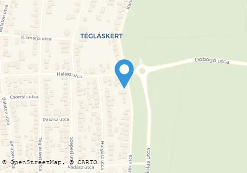 Térkép
