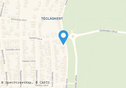 Térkép