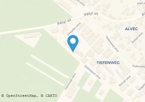 Térkép