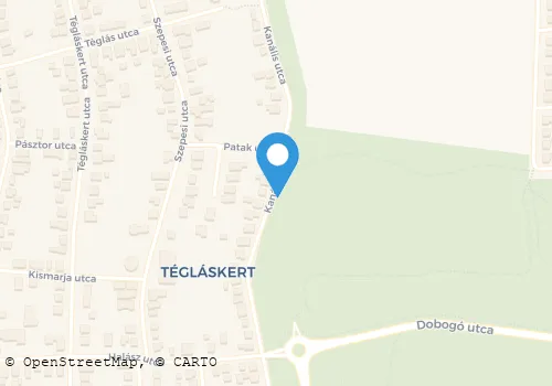 Térkép