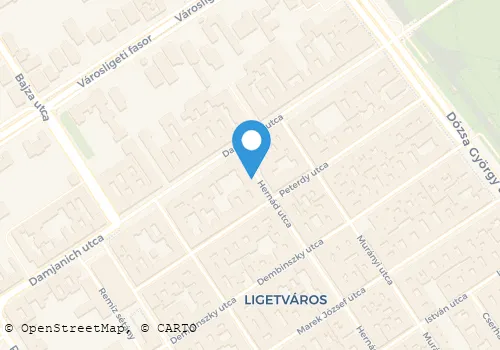 Térkép