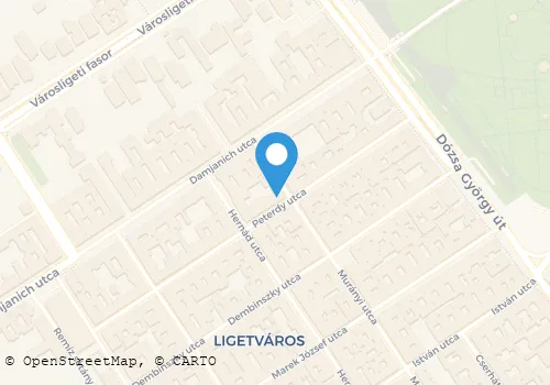 Térkép