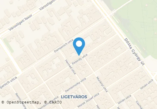 Térkép