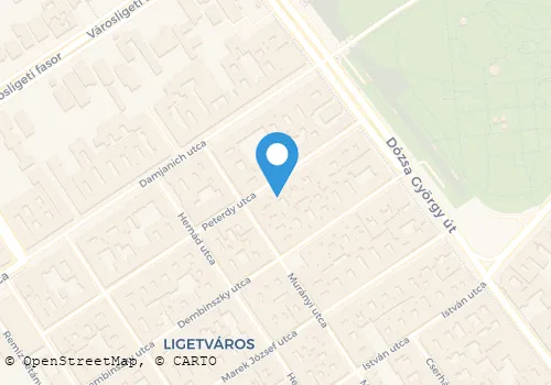 Térkép
