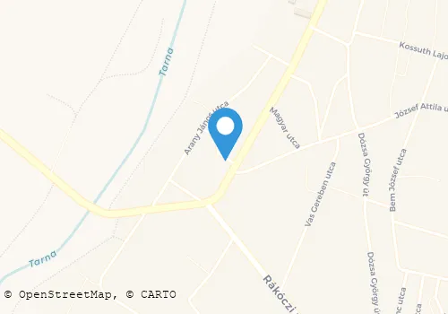 Térkép
