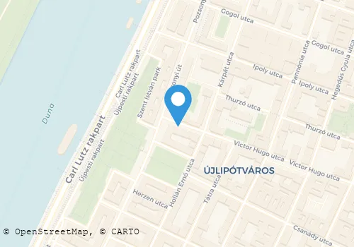 Térkép